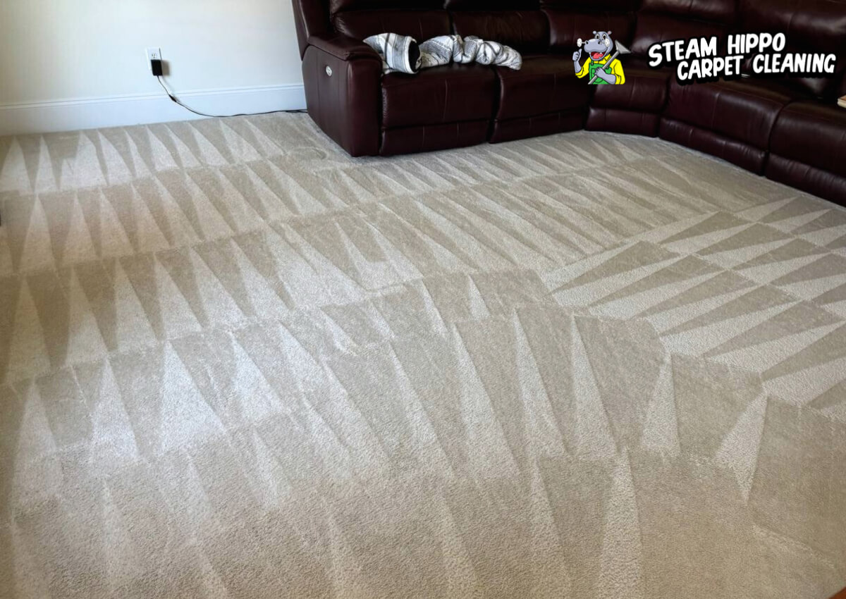 Before and after steam cleaning — Carpet