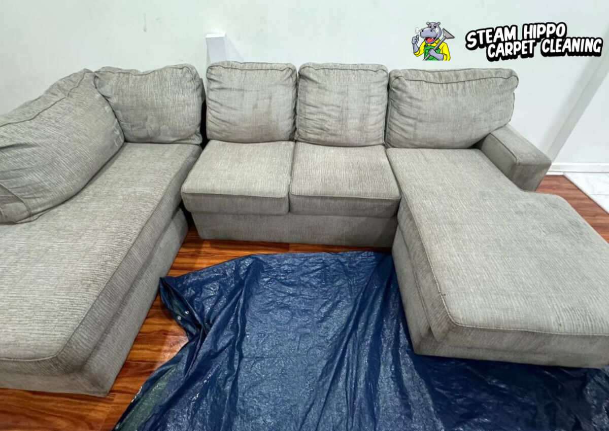 Before and after steam cleaning — Sofa Grey
