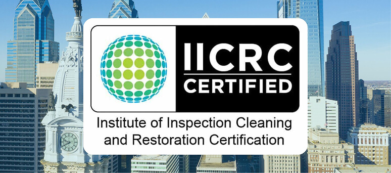 IICRC-Certified Carpet and Upholstery Cleaning Experts