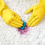 Upholstery cleaning Philadelphia, carpet stain removal near me, carpet cleaning West Chester, Carpet cleaning Princeton, sofa cleaning New Jersey, sectional cleaning Willow Grove, furniture cleaning Yardley, upholstery steam cleaning Paoli, West Chester, steam cleaner Dresher, remove stains from sofa Cherry Hill, Wayne, sectional cleaning near Villanova, sofa cleaner near me, stains on carpet cleaner Malvern, carpet cleaning company Bristol, Carpet cleaner Cherry Hill, Carpet cleaning Richboro