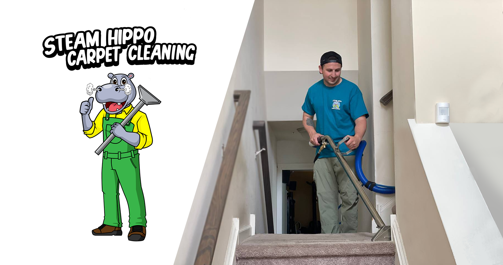 Carpet Cleaning Services in Philadelphia | Steam Hippo