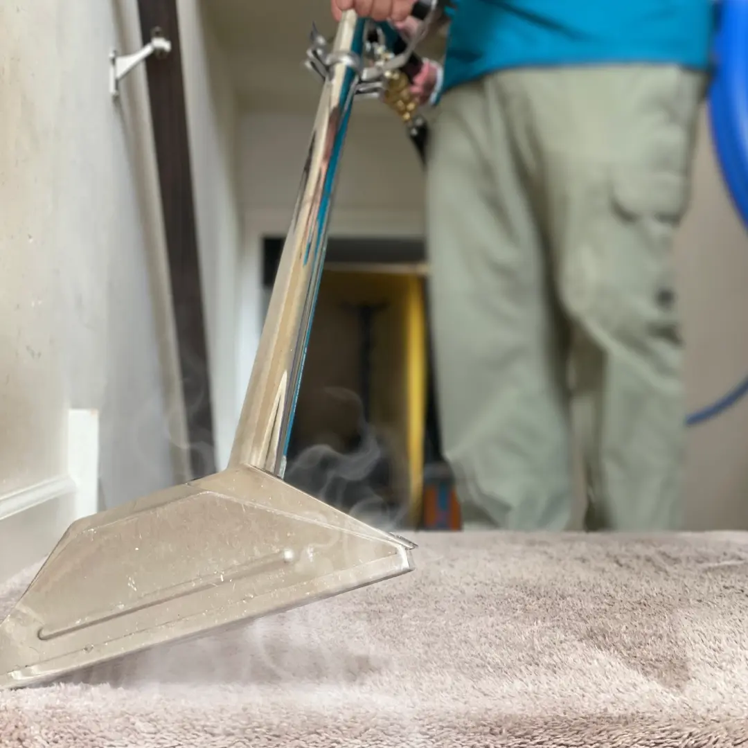 Carpet Cleaning Services