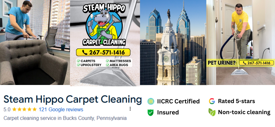 Looking for the best carpet, rug, and furniture cleaning services in Richboro, New Hope, Belle Mead, Princeton Junction, Warrington, Kind of Prussia, Chesterfield, Millstone Township, Moorestown, Mount Laurel, and Princeton NJ? Our deep steam cleaning techniques reach into carpet and upholstery fibers, effectively removing dirt and stains while preserving the softness and color of your fabrics. Whether you’re refreshing a carpet or restoring a couch, we bring lasting cleanliness and freshness to every surface.