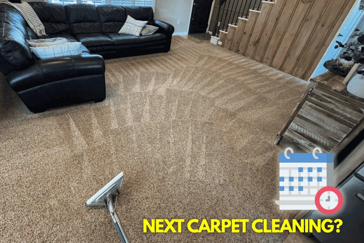 Tips for Maintaining Clean Carpets