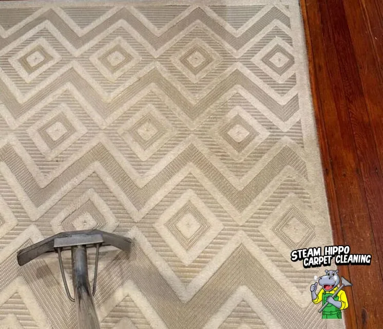 Rug Deep Cleaning