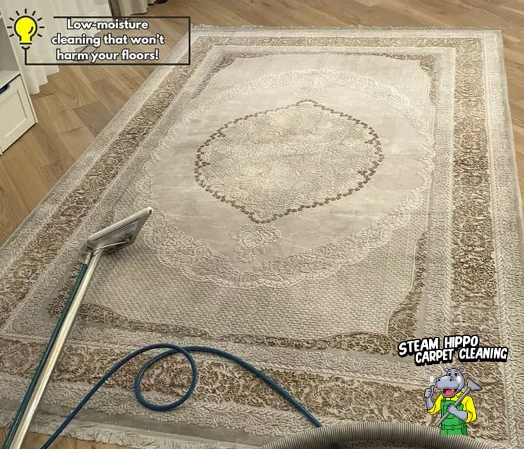 Low Moisture Cleaning