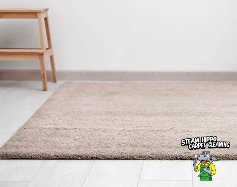 Wash a Rug