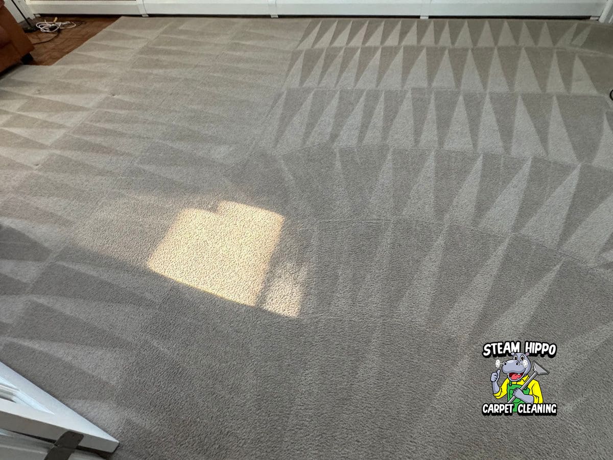 Carpet Deep Cleaning