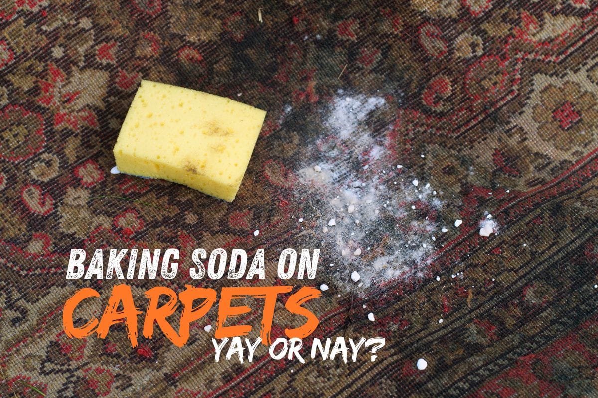 Baking Soda on Your Carpets