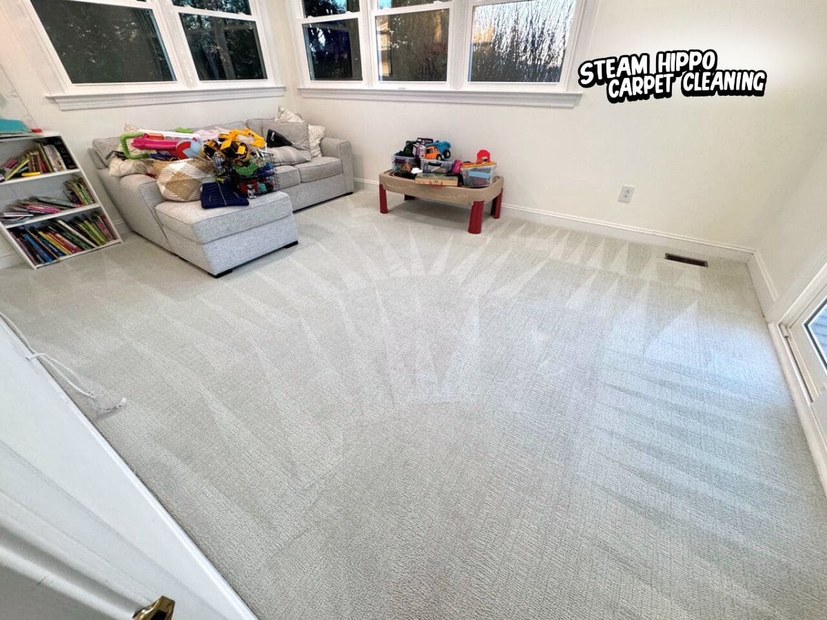 emergency carpet cleaning