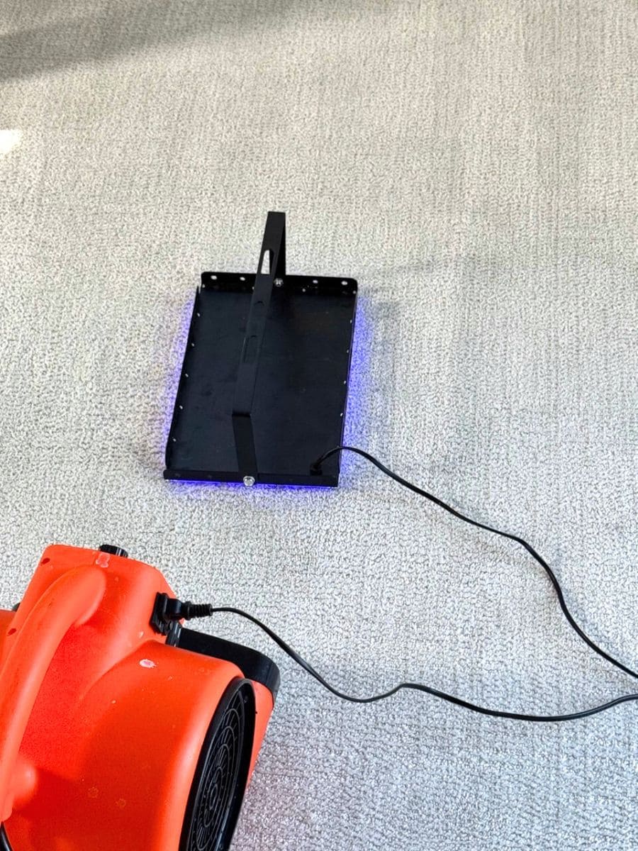 Stain Removal