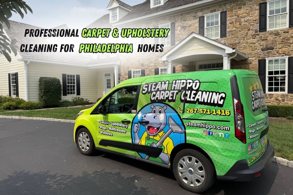 Professional carpet cleaning