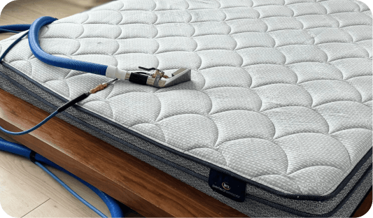Mattress Cleaning