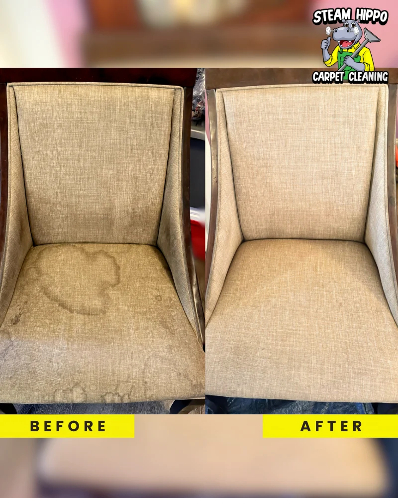 Chair cleaner Philadelphia. High-quality carpet cleaning in Willow Grove and detailed upholstery cleaning for chairs and couches. Eliminate pet stains in Warminster, advanced carpet cleaning in Warrington, and thorough upholstery care in Malvern.