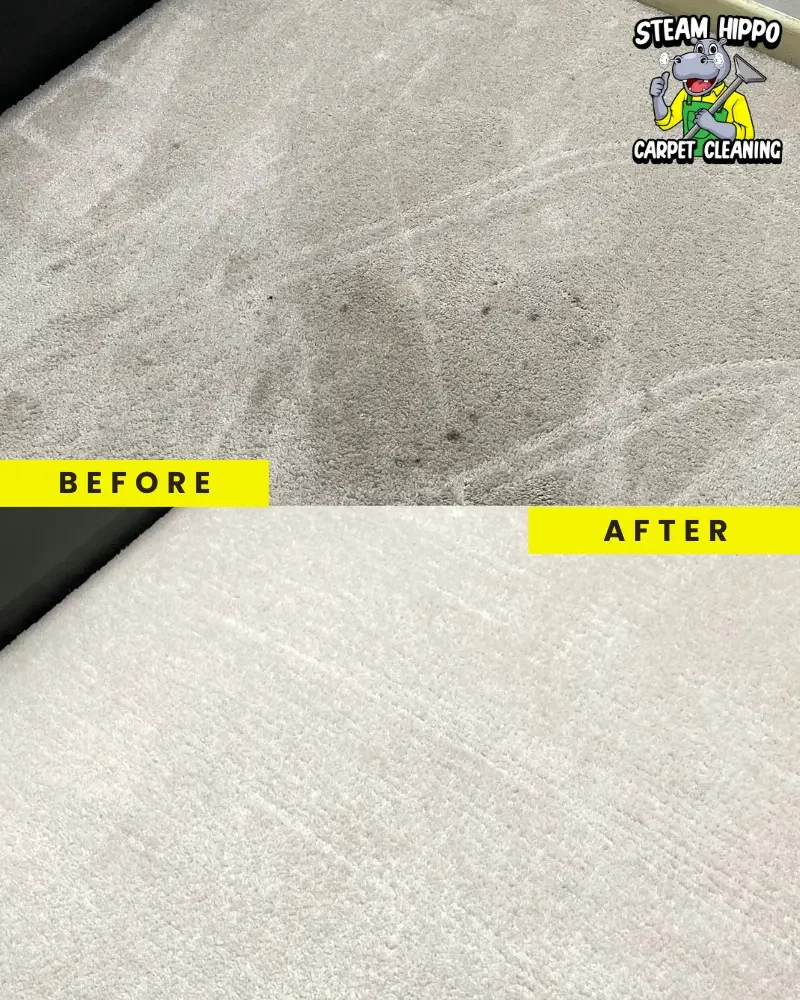 Eco-friendly carpet cleaning in Exton and top-notch upholstery cleaning for all types of furniture. Remove tough stains in Ardmore, pet odor removal in Morrisville, and comprehensive carpet steam cleaning in Feasterville-Trevose.