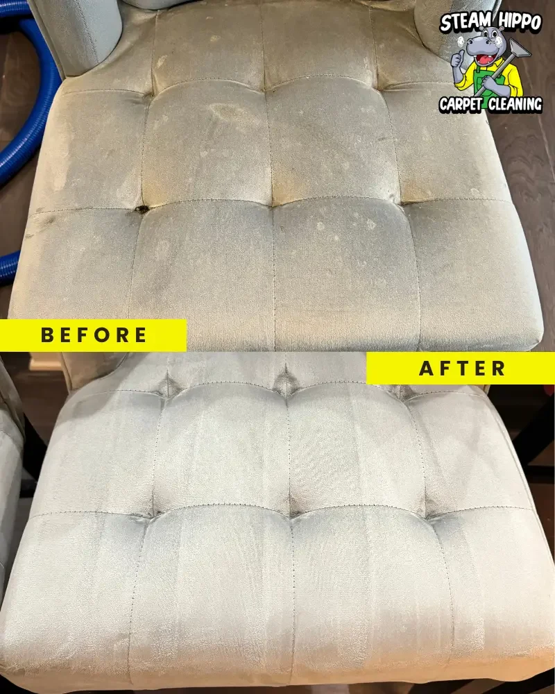 Comprehensive carpet cleaning in Southampton and expert upholstery cleaning for all fabric types. Remove pet odors in Gladwyne, thorough carpet cleaning in Villanova, and top-notch upholstery care in West Chester. Sofa cleaner Philadelphia