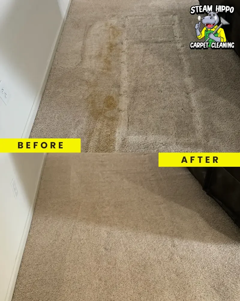 Professional carpet cleaning in Cherry Hill and expert upholstery cleaning for all furniture. Remove tough stains in Mount Laurel, pet-friendly carpet cleaning in Medford, and effective steam cleaning in Marlton