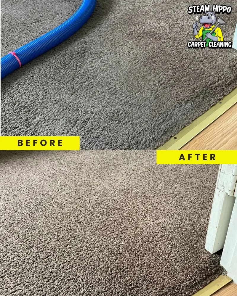 High-quality carpet and upholstery cleaning in Riverton and professional carpet cleaning in Columbus. Stain removal in Mansfield, deep carpet cleaning in Skillman, and meticulous upholstery care in Florence.