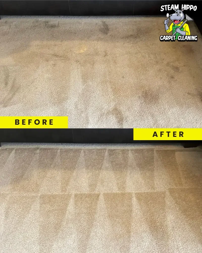 Residential carpet cleaning in Ambler and high-quality upholstery cleaning in Abington. Remove dirt and grime in Jenkintown, advanced carpet steam cleaning in Philadelphia, and effective stain removal in Huntington Valley.