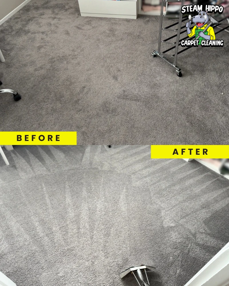 Professional carpet cleaning in Horsham and high-quality upholstery cleaning for all types of furniture. Remove pet odors in Willow Grove, thorough carpet cleaning in Warminster, and expert upholstery care in Warrington.