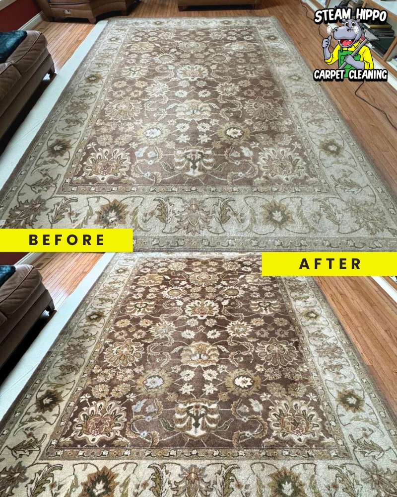 Professional carpet and upholstery cleaning in Philadelphia and stain-free carpets in Huntington Valley. Pet stain removal in Southampton, high-quality carpet cleaning in Gladwyne, and detailed upholstery care in Villanova.